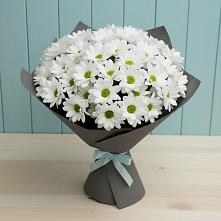 Букет цветов из:  Хризантемы #REPLACE_PRED# Кара-Тюбе