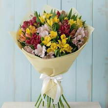 Букет цветов из:  Альстромерии в Кара-Тюбе