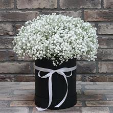 Цветочная композиция из Гипсофила в шляпной коробке в Кара-Тюбе