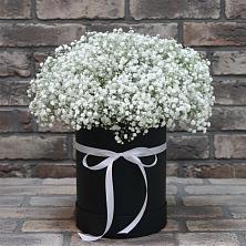 Цветочная композиция из Гипсофила в шляпной коробке в Кара-Тюбе