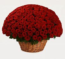 Премиум букет из: Розы в Кара-Тюбе