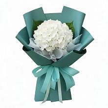 Букет цветов из:  Гортензия в Кара-Тюбе